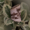 Turco Conquistadores Cordillera de los Andes