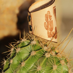 Turco conquistadores Desierto de Atacama