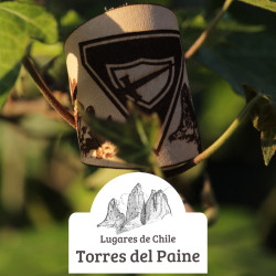 Turco conquistadores Torres del Paine